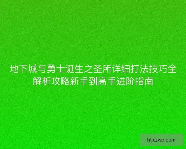 地下城与勇士诞生之圣所详细打法技巧全解析攻略新手到高手进阶指南